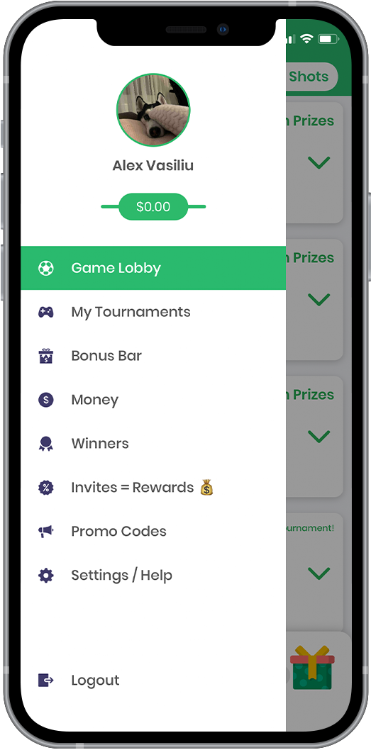 GameForm screenshot 1